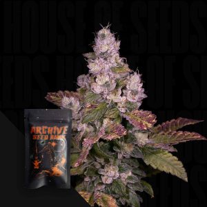 Planet Diesel