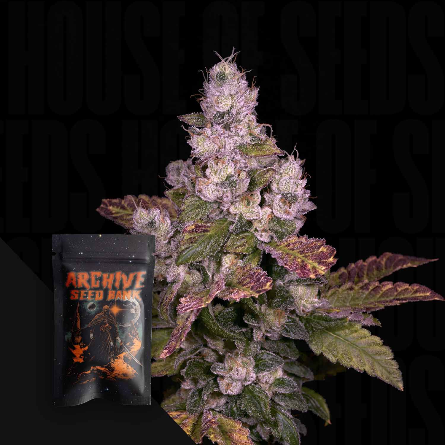Planet Diesel