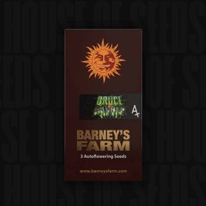 Bruce Banner Auto (0 Samen | Feminisiert) - Barney's Farm