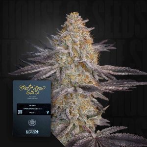 Air Lemon (0 Samen | Feminisiert) - Green House Seeds