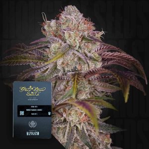 Gran Jefa (0 Samen | Feminisiert) - Green House Seeds