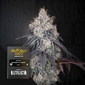 Lemon Orange (0 Samen | Feminisiert) - Green House Seeds