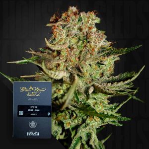 Super Bud (0 Samen | ) - Green House Seeds