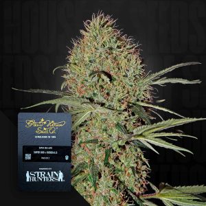 Super Bud Auto (0 Samen | ) - Green House Seeds