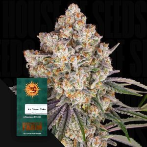 Ice Cream Cake (0 Samen | Feminisiert) - Barney's Farm