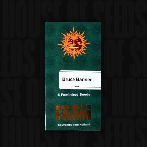 Bruce Banner