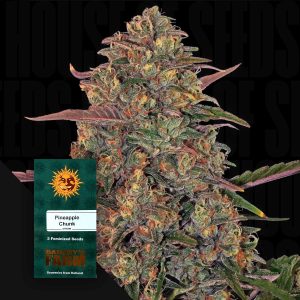 Pineapple Chunk