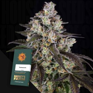 Trainwreck