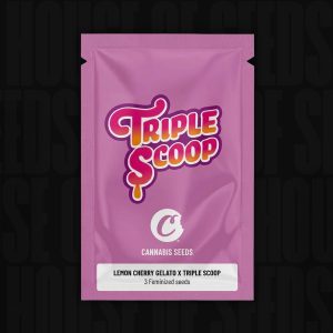 Lemon Cherry Gelato x Triple Scoop