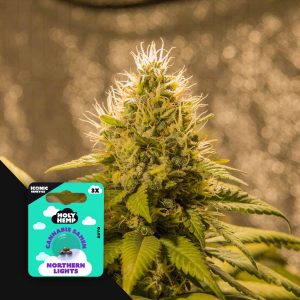 Northern Lights