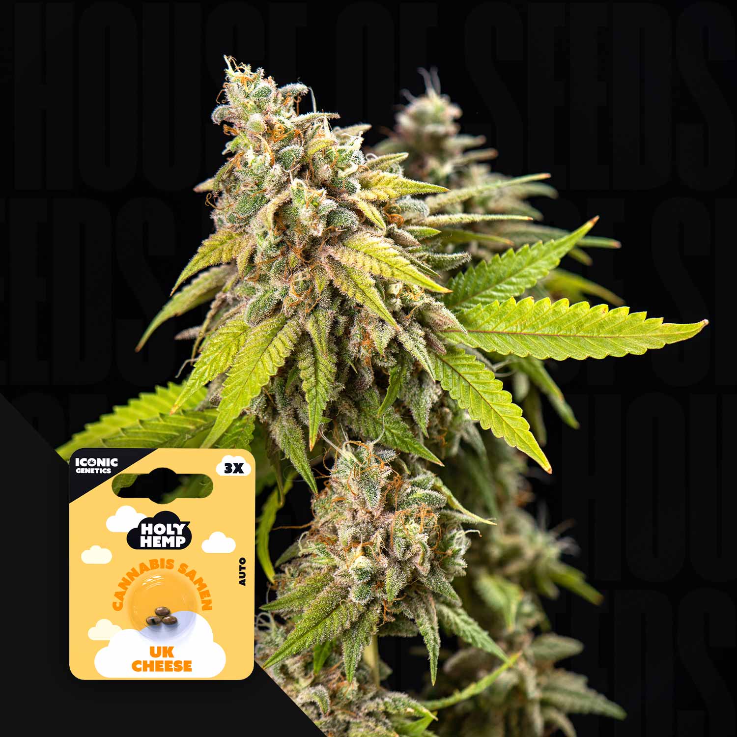 UK Cheese