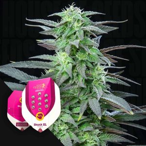 Skunk XL