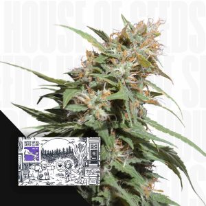 Pineapple Poison